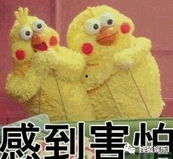 新恋情吃瓜视频下载安装