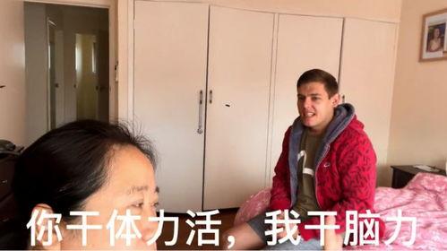 柯基吃瓜被骂视频播放,网络暴力下的宠物生存现状