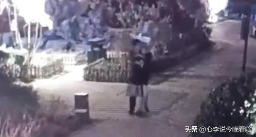 唐县吃瓜事件真相视频播放,揭秘真相背后的惊人内幕