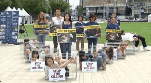 韩国民众吃瓜视频网站在线观看