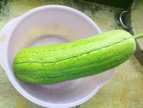 水瓜炒着吃怎么好吃呢视频,美味佳肴轻松上桌