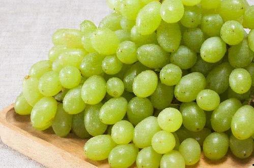 提子视频吃瓜事件,揭秘网络舆论的狂欢与反思