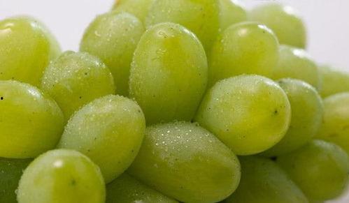 提子视频吃瓜事件,揭秘网络舆论的狂欢与反思