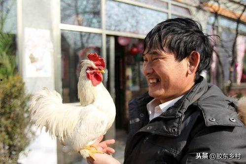 朱之文吃瓜的视频