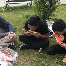 幼儿吃瓜比赛视频大全集,幼儿吃瓜大赛精彩瞬间大盘点