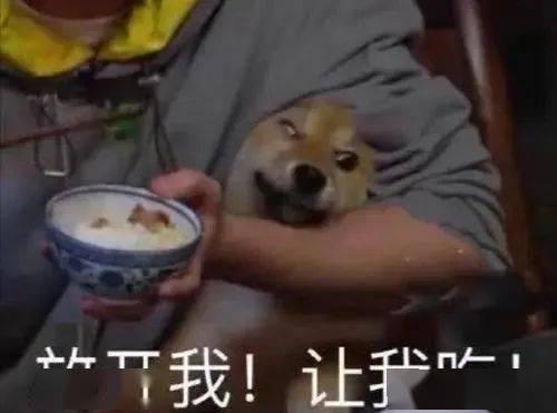 带你吃瓜视频奇葩悖论,带你破解“带你吃瓜”视频中的奇葩悖论之谜