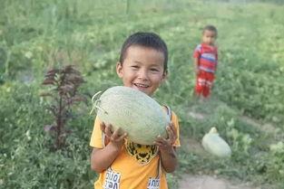 巴楚留香果吃瓜视频