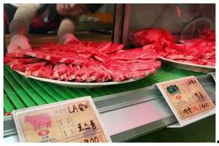 外国人看见中国吃瓜视频