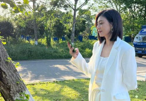 陈意涵吃瓜视频大全最新,揭秘娱乐圈幕后故事