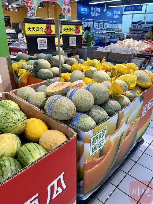 成都在线吃瓜视频,揭秘城市生活百态