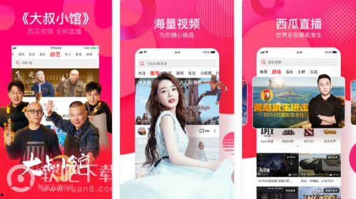 吃瓜视频揭秘在线观看网站,吃瓜视频在线观看网站背后的秘密