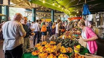 摆摊吃瓜视频大全,摆摊吃瓜视频大全精选回顾