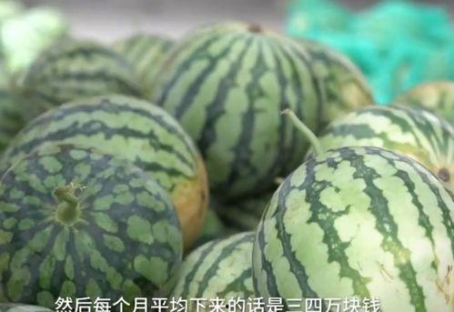 吃瓜视频最甜的一集