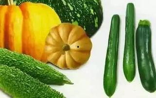 春吃芽儿夏吃瓜视频,跟随季节变化，享受时令美食之旅