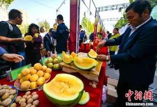 永清吃瓜现场视频大全最新,视频大全揭秘幕后真相