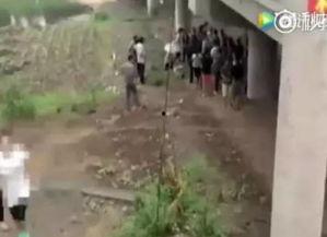 路边吃瓜跳桥视频大全下载,揭秘惊心动魄一幕