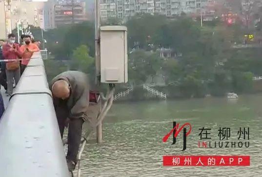 路边吃瓜跳桥视频大全下载,揭秘惊心动魄一幕