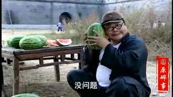 村头老大爷吃瓜视频大全,趣味横生的乡村生活剪影