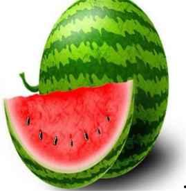 吃绵绵瓜会长胖吗视频,吃绵绵瓜真的会长胖吗？