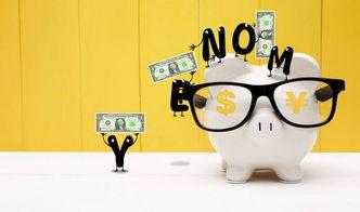 吃瓜理财视频教程,轻松入门，视频教程带你玩转投资世界