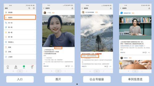 快手7b视频吃瓜视频,揭秘吃瓜群众的狂欢盛宴