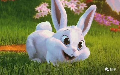 野餐兔吃瓜视频大全下载,欢乐时光尽享美味瓜果