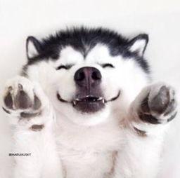 吃瓜视频大全爆笑集,欢乐无限，笑点爆棚