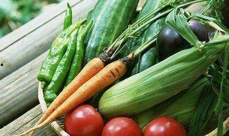 老瓜头配什么吃最好呢视频,美味升级，尽享舌尖盛宴