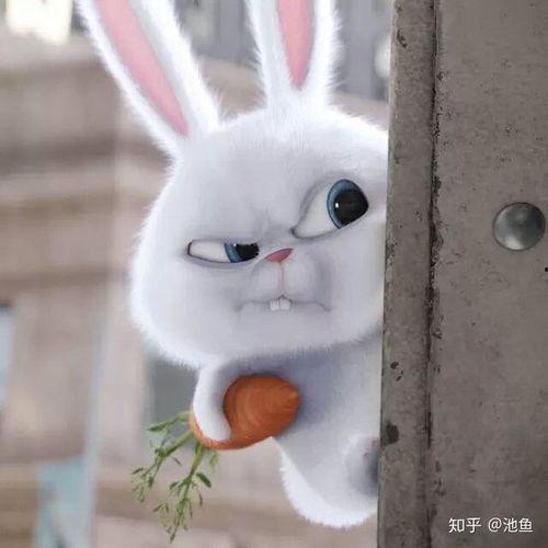 美国兔子大哥吃瓜视频大全,揭秘娱乐圈幕后故事