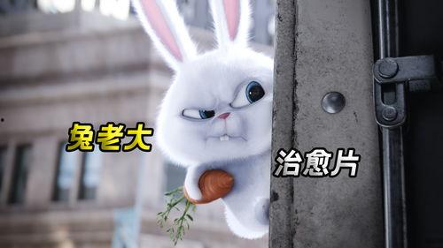 美国兔子大哥吃瓜视频大全,揭秘娱乐圈幕后故事