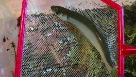 辛安小蛇吃瓜视频播放全集