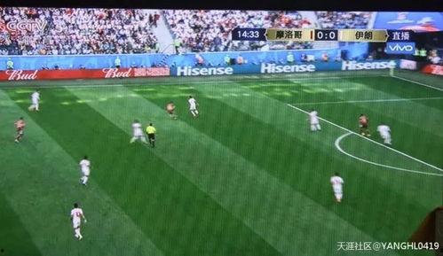 吃瓜群众踢球是真的吗视频,一场足球与娱乐的跨界盛宴