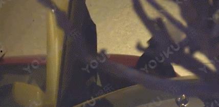 奔赴吃瓜前线的视频