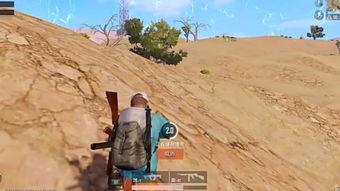 奔赴吃瓜前线的视频