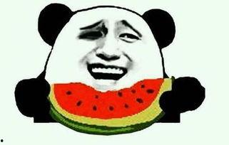 王启航吃瓜视频大全,揭秘娱乐圈幕后故事