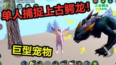 捉战龙吃瓜视频大全集免费观看,免费观看视频全集，带你领略奇幻冒险之旅