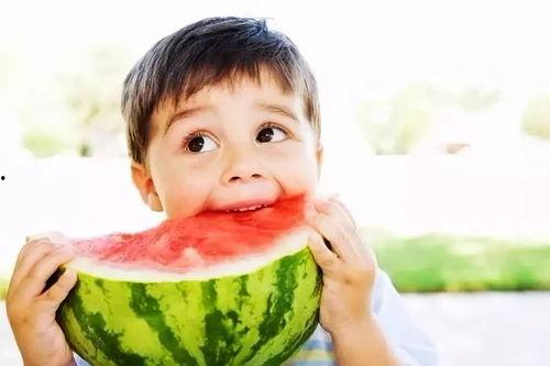 小朋友吃角瓜视频大全集,小朋友欢乐吃角瓜视频集锦