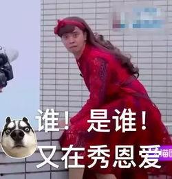 看情侣亲吻吃瓜的视频,情侣亲吻吃瓜，甜蜜画面引网友热议