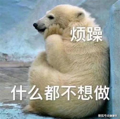 表情包视频吃瓜群众怎么做,表情包视频“吃瓜群众”现象解析