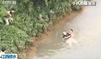 吃瓜小哥跳桥视频下载,惊险瞬间！吃瓜小哥跳桥视频引发网友热议