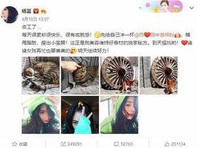 吃瓜一手料完整视频,揭秘视频背后的惊人真相