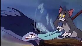 吃瓜猫视频完整版,揭秘幕后真相，带你领略网络红人的魅力与争议