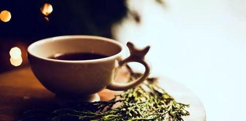 吃瓜小熊弄茶喝茶视频,一探茶艺与生活的完美融合