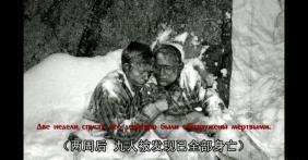 吃瓜事件真实案例视频