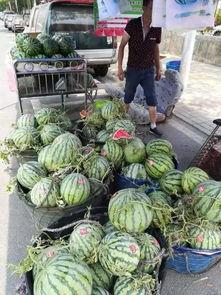 合肥本地吃瓜事件视频