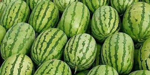 合肥本地吃瓜事件视频