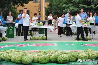 凉亭跳舞吃瓜视频大全,盘点热门跳舞吃瓜视频集锦